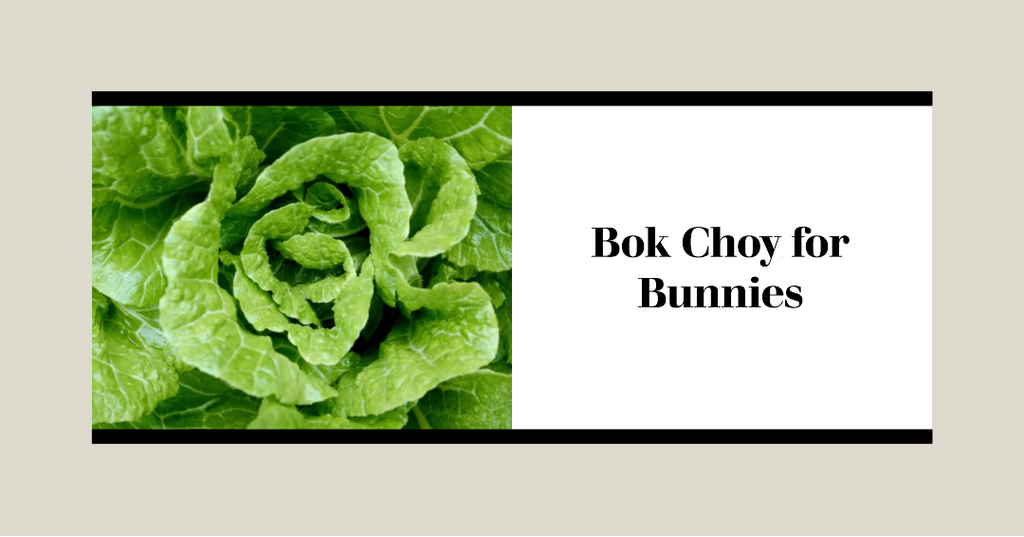 Can Rabbits Eat Bok Choy? Exploring the Leafy Green Delight for Your Bunny