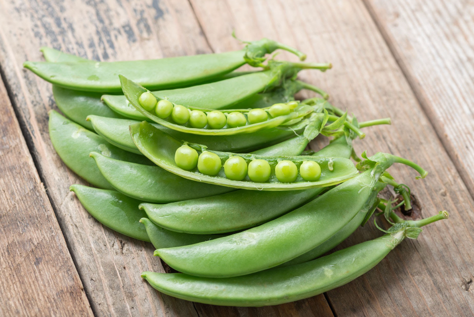 Can Rabbits Eat Snow Peas? Discover the Crunchy Green Delight