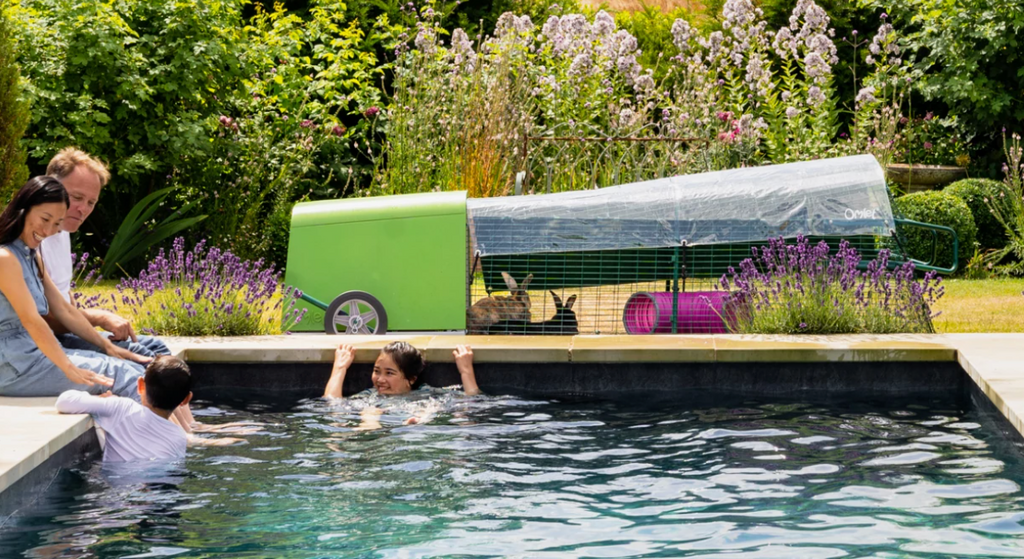Meilleurs clapiers à lapins