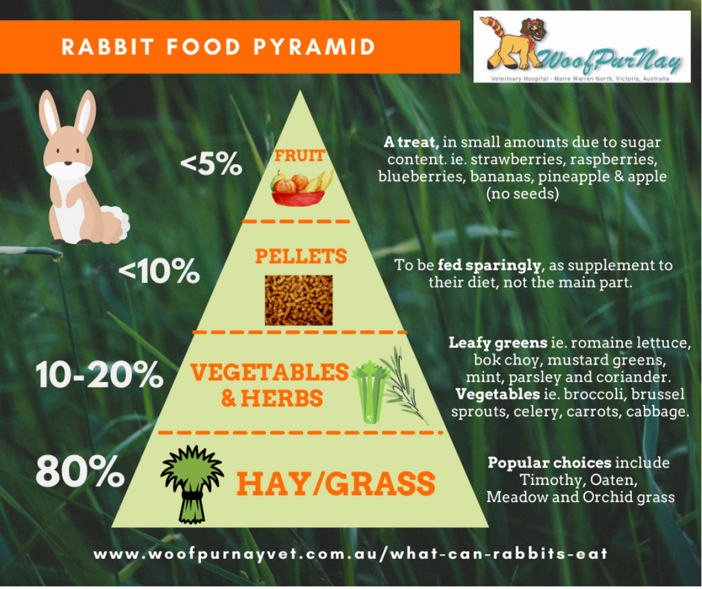 A vet approved rabbit food pyramid Central Victoria Hay