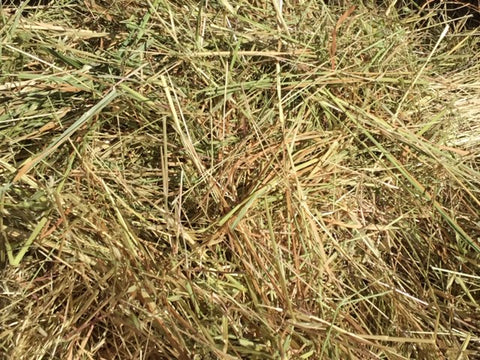 Clean Pasture Hay Round Rolls