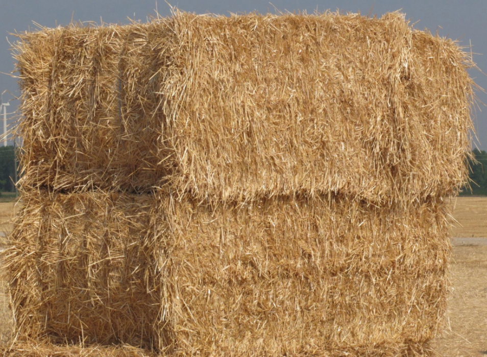 Straw (Big squares)