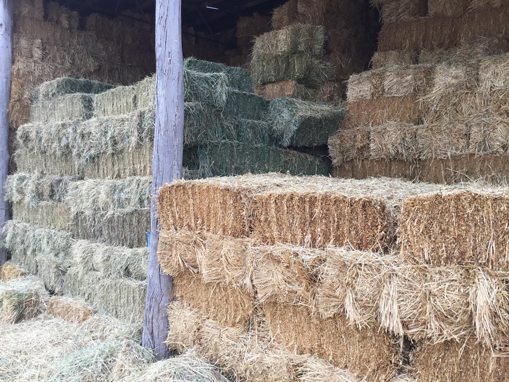 Five Hay Storage Tips To Save you Money!