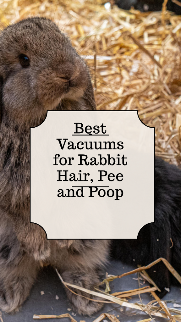Die flauschige Herausforderung meistern: Den besten Staubsauger für Kaninchenheu, -haare und -kot finden