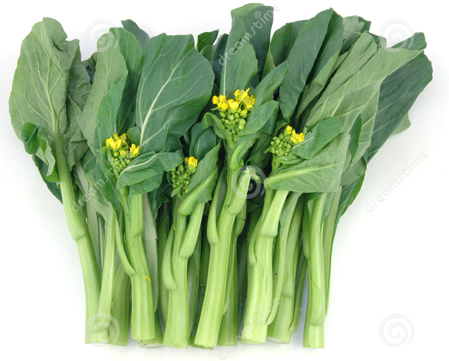Can Rabbits Munch on Choy Sum? Revealing the Leafy Green Delight for Your Bunny