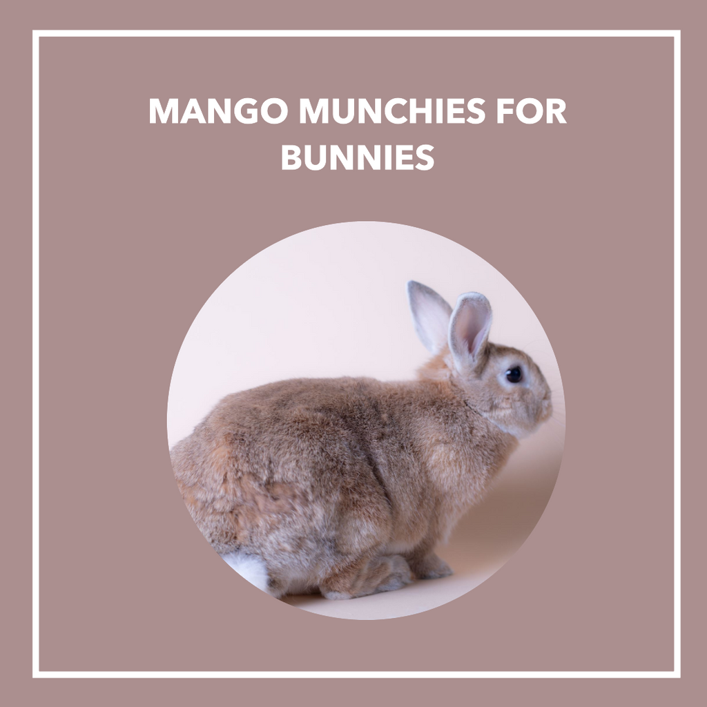 To Mango or not Mango: Can Rabbits Savor this Tropical Delight?