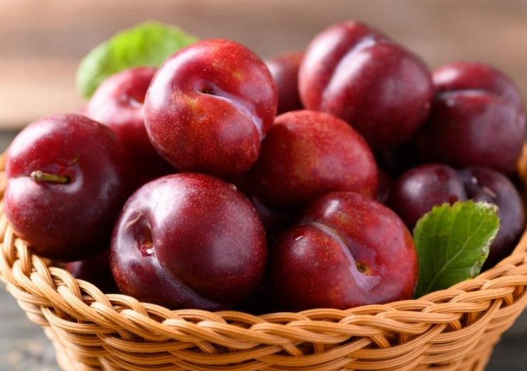 Plum Ponderings: Do Bunnies Fancy this Fruity Delight?