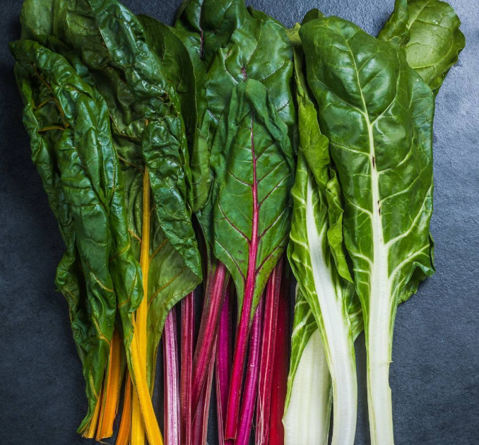 Can Rabbits Eat Silverbeet? A bittersweet addition to their diet