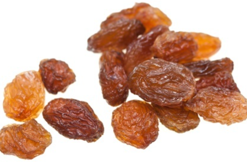 Can Rabbits Eat Sultanas? Unveiling the Sweet Mystery for Your Bunny