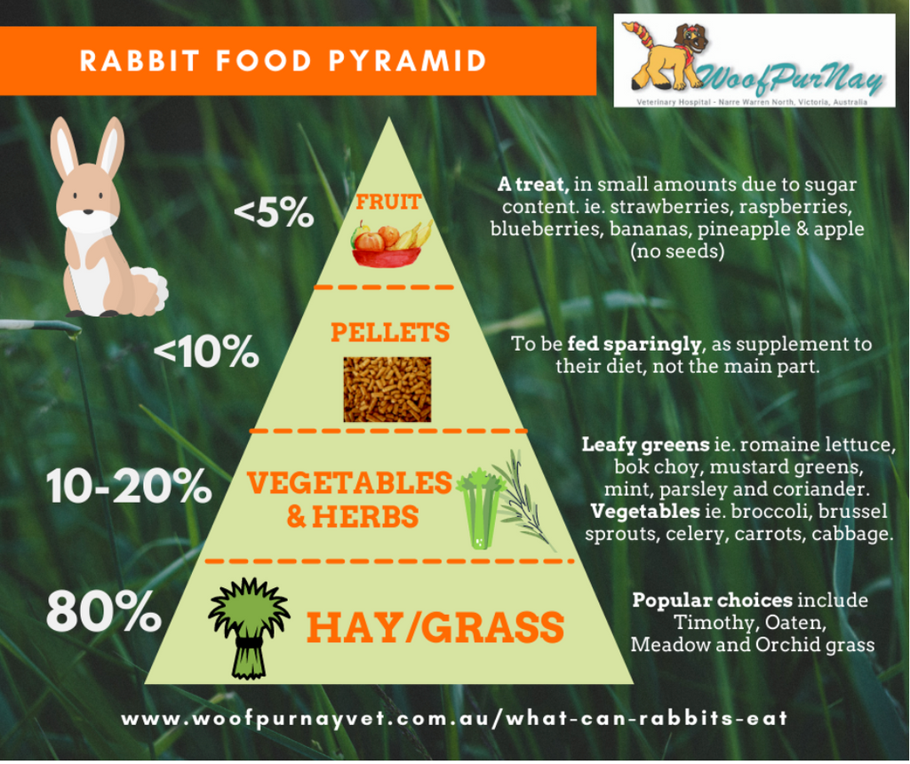 Rabbit food pyramid