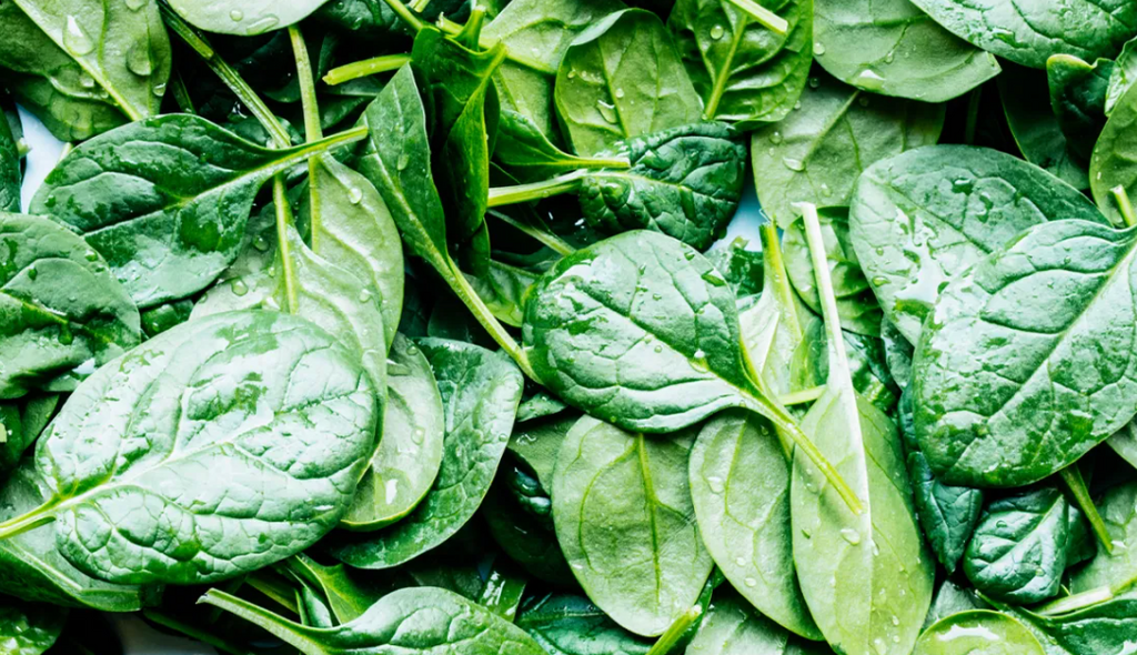 Can rabbits eat spinach and baby spinach?