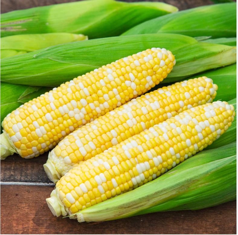 Can rabbits eat corn?