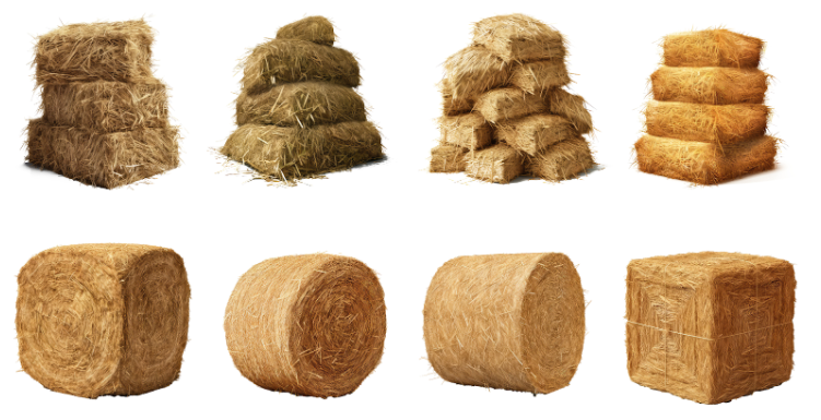 The Science of Hay: Nutritional Breakdown and Why It Matters