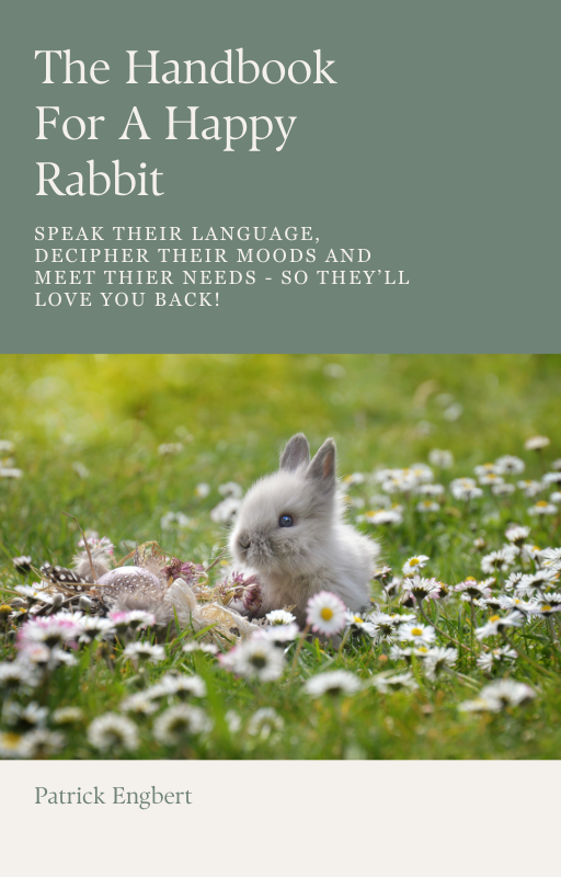 Rabbit Happiness Guide