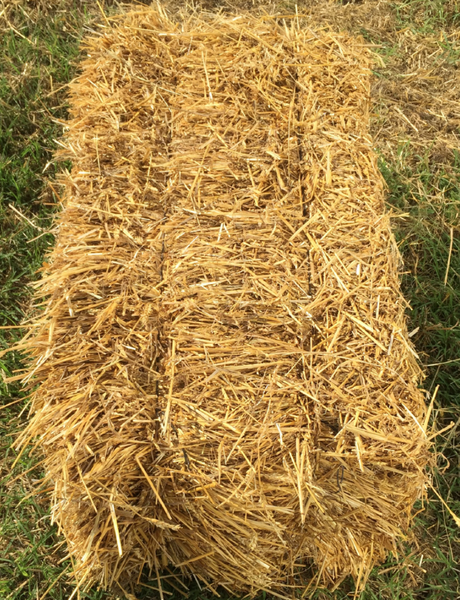 Elegant Bale Of Straw For Sale Near Me Photos
