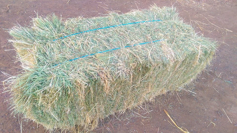 Low Sugar Native grass with Teff hay